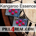 Kangaroo Essence 14